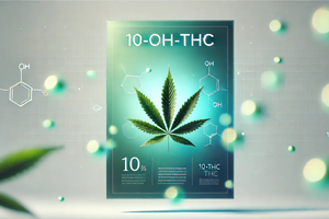 Які ефекти та властивості 10-OH-THC і чим він відрізняється від 11-OH-THC? фото